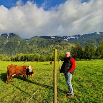 Checking Cattle with Mountains in Background
